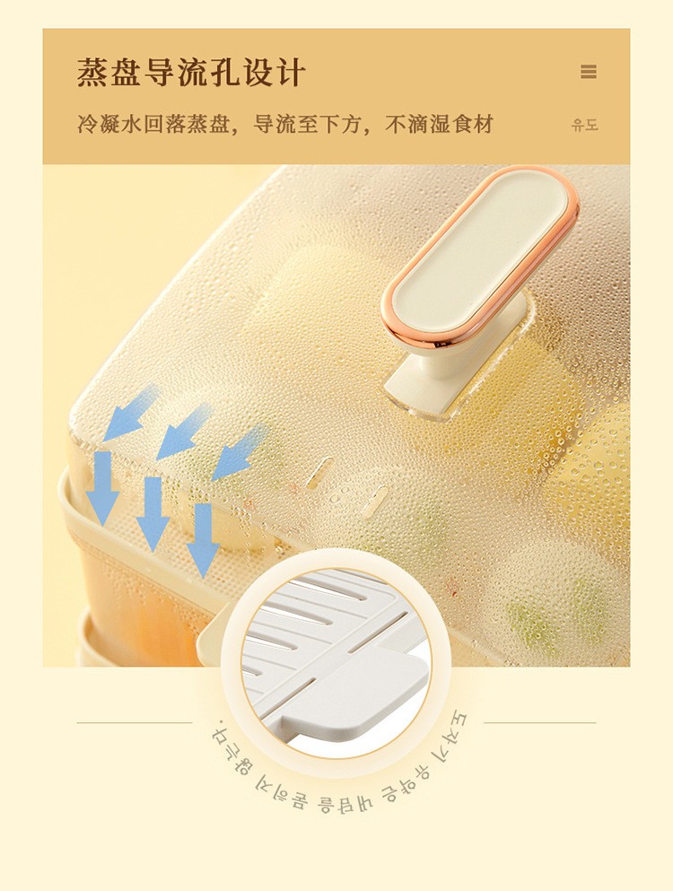 韩国现代触摸式小型电蒸箱品牌