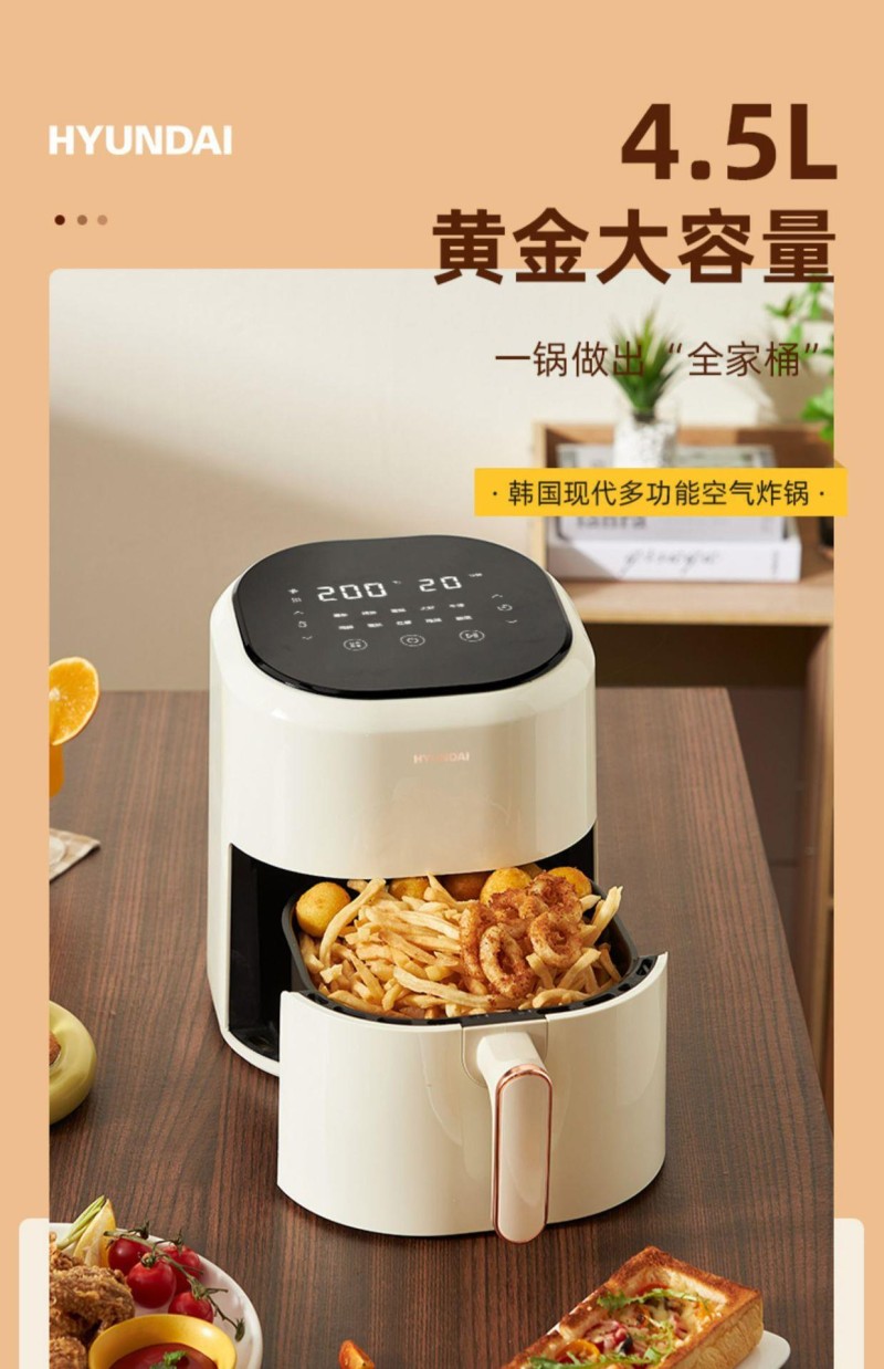 韩国现代带自动断电的炸薯条机