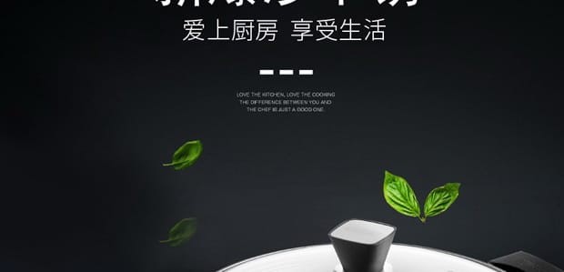 膳魔师WOG系列家用煎炸锅详情